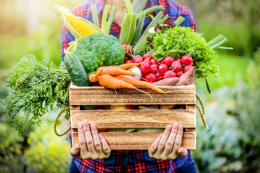 Caisse en bois remplie de légumes frais : carottes, radis, brocoli, salade, poireaux et maïs