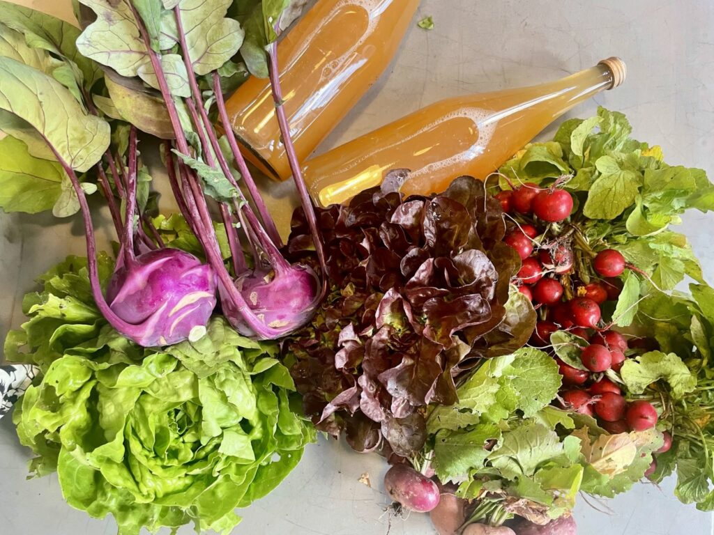 Radis, salades, choux-raves et bouteilles de jus de pomme posés sur une table